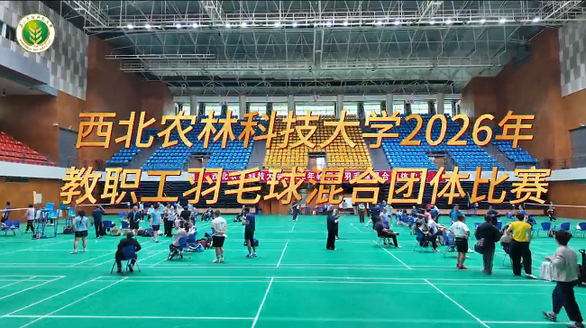 汇智聚力强体魄・奋楫同心启新程 | 2026年教职工羽毛球混合团体比赛圆满收官